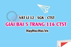 Giải bài 5 trang 116 Vật lí 12 Chân trời sáng tạo SGK